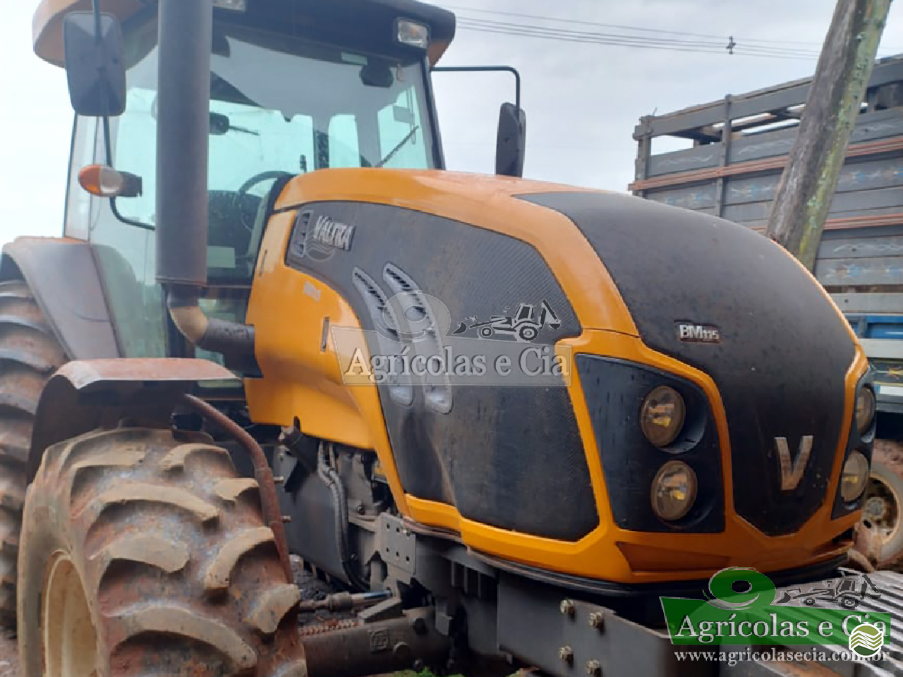 TRATOR VALTRA VALTRA BM 115 Tração 4x4 Agricolas e Cia RIO DAS PEDRAS SÃO PAULO SP